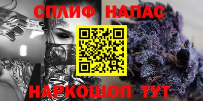 мдпв Кингисепп