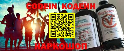 мдпв Кингисепп