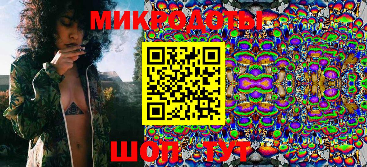Галлюциногенные грибы Psilocybine cubensis Дятьково