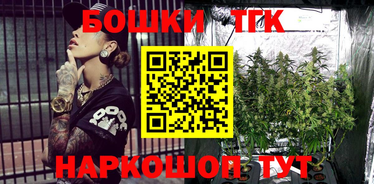 APVP Дятьково